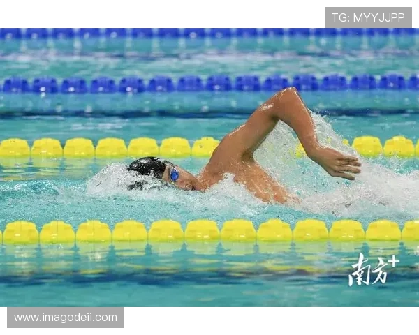 新2体育的崭新体验：引领你进入全方位的运动世界