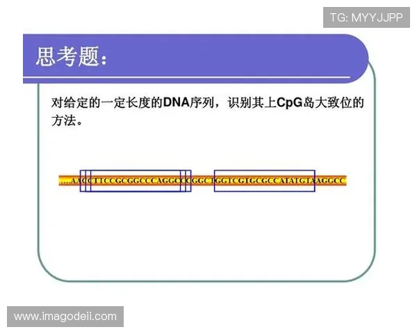 ag手机版登录线路常见问题及解决方案，确保每次登录都顺畅无忧
