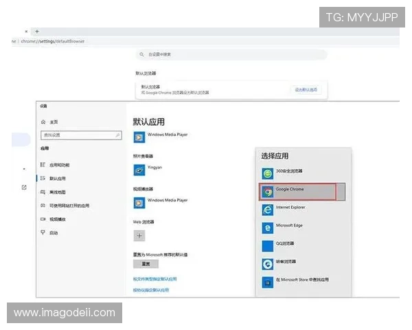 关于AG网址的常见问题解答以及选择优质入口的实用建议