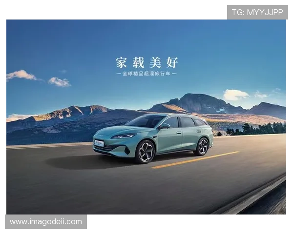 凯发国际天生赢家：开启属于你的财富新篇章，成就非凡人生的最佳选择