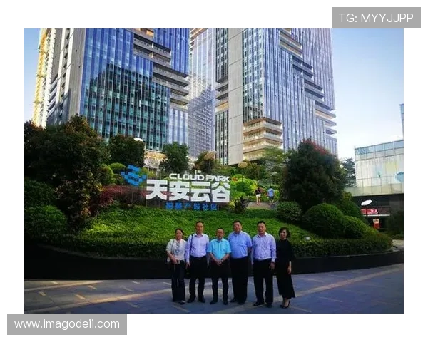 凯发官网首页平台安全策略，确保每一位用户的交易安全与隐私保护