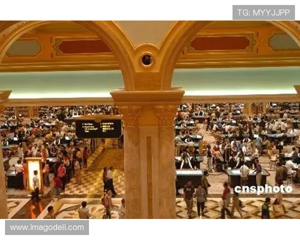 全面解析赌场真人正规游戏的优势与玩法,助你轻松赢取丰厚奖励 全面解析赌场真人正规游戏的优势与玩法,助你轻松赢取丰厚奖励